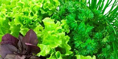 Verdes para aumentar a potência em homens