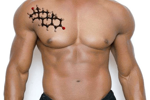 torso masculino bonito